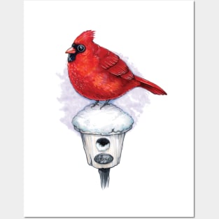 Beautiful Cardinal Bird Posters and Art